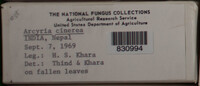 Image Associated With the Occurence